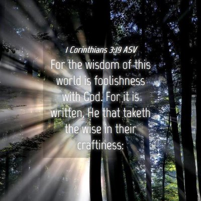 Picture 04 - 1 Corinthians 3:19 ASV - For the wisdom of this world is foolishness with - Bible Verse Picture