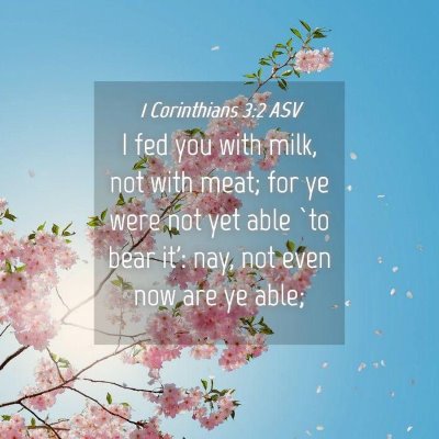 Picture 04 - 1 Corinthians 3:2 ASV - I fed you with milk, not with meat; for ye were - Bible Verse Picture