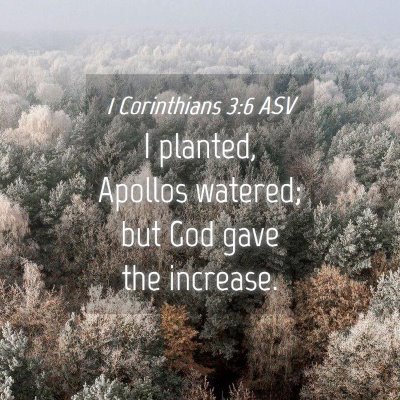 Picture 04 - 1 Corinthians 3:6 ASV - I planted, Apollos watered; but God gave the - Bible Verse Picture