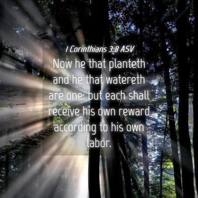 Picture 04 - 1 Corinthians 3:8 ASV - Now he that planteth and he that watereth are - Bible Verse Picture