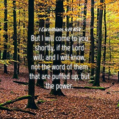 Picture 04 - 1 Corinthians 4:19 ASV - But I will come to you shortly, if the Lord will; - Bible Verse Picture
