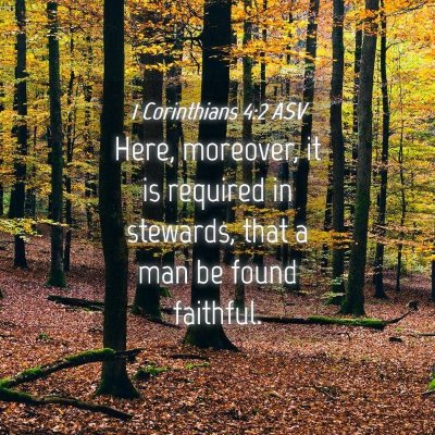 Picture 04 - 1 Corinthians 4:2 ASV - Here, moreover, it is required in stewards, that - Bible Verse Picture