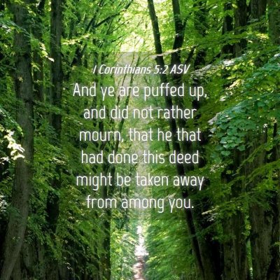 Picture 04 - 1 Corinthians 5:2 ASV - And ye are puffed up, and did not rather mourn, - Bible Verse Picture