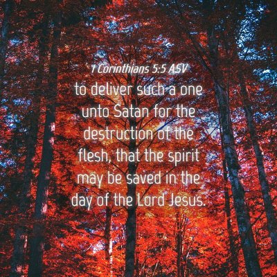 Picture 04 - 1 Corinthians 5:5 ASV - to deliver such a one unto Satan for the - Bible Verse Picture