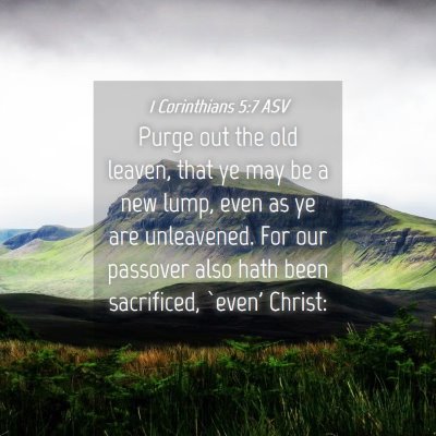 Picture 04 - 1 Corinthians 5:7 ASV - Purge out the old leaven, that ye may be a new - Bible Verse Picture