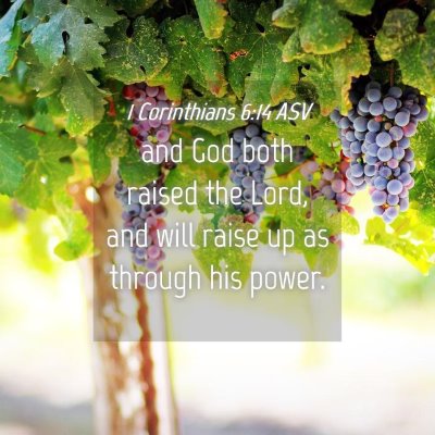 Picture 04 - 1 Corinthians 6:14 ASV - and God both raised the Lord, and will raise up - Bible Verse Picture