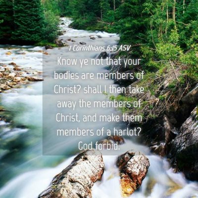 Picture 04 - 1 Corinthians 6:15 ASV - Know ye not that your bodies are members of - Bible Verse Picture