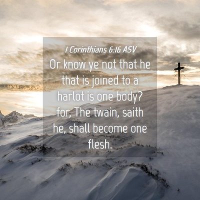 Picture 04 - 1 Corinthians 6:16 ASV - Or know ye not that he that is joined to a harlot - Bible Verse Picture