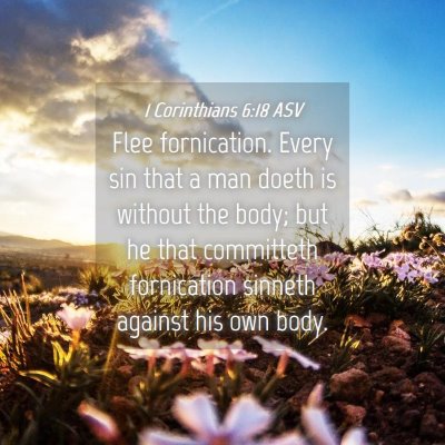 Picture 04 - 1 Corinthians 6:18 ASV - Flee fornication. Every sin that a man doeth is - Bible Verse Picture