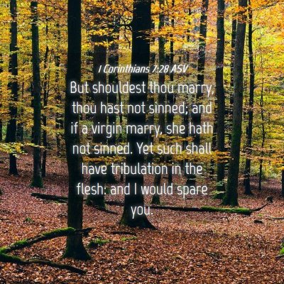 Picture 04 - 1 Corinthians 7:28 ASV - But shouldest thou marry, thou hast not sinned; - Bible Verse Picture
