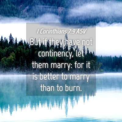 Picture 04 - 1 Corinthians 7:9 ASV - But if they have not continency, let them marry: - Bible Verse Picture