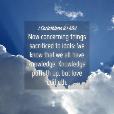 Picture 04 - 1 Corinthians 8:1 ASV - Now concerning things sacrificed to idols: We - Bible Verse Picture