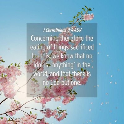 Picture 04 - 1 Corinthians 8:4 ASV - Concerning therefore the eating of things - Bible Verse Picture