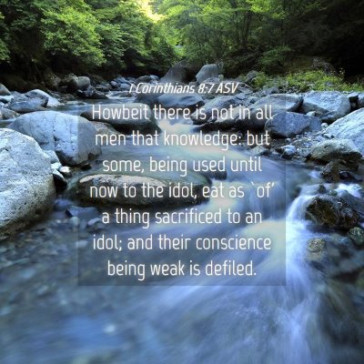 Picture 04 - 1 Corinthians 8:7 ASV - Howbeit there is not in all men that knowledge: - Bible Verse Picture