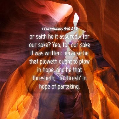 Picture 04 - 1 Corinthians 9:10 ASV - or saith he it assuredly for our sake? Yea, for - Bible Verse Picture
