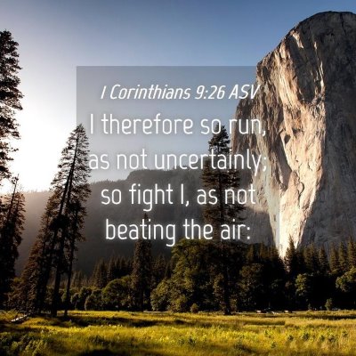 Picture 04 - 1 Corinthians 9:26 ASV - I therefore so run, as not uncertainly; so fight - Bible Verse Picture