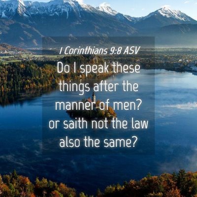 Picture 04 - 1 Corinthians 9:8 ASV - Do I speak these things after the manner of men? - Bible Verse Picture