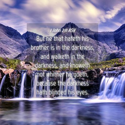 Picture 04 - 1 John 2:11 ASV - But he that hateth his brother is in the - Bible Verse Picture