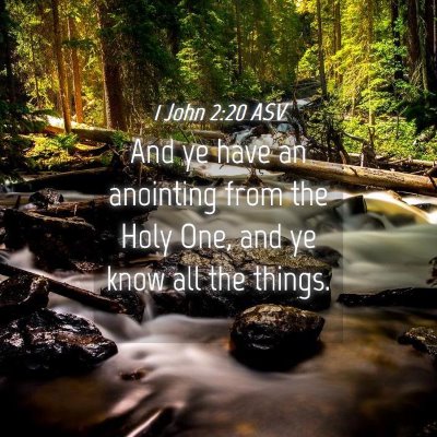 Picture 04 - 1 John 2:20 ASV - And ye have an anointing from the Holy One, and - Bible Verse Picture