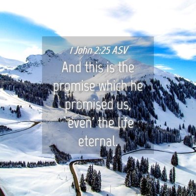 Picture 04 - 1 John 2:25 ASV - And this is the promise which he promised us, - Bible Verse Picture