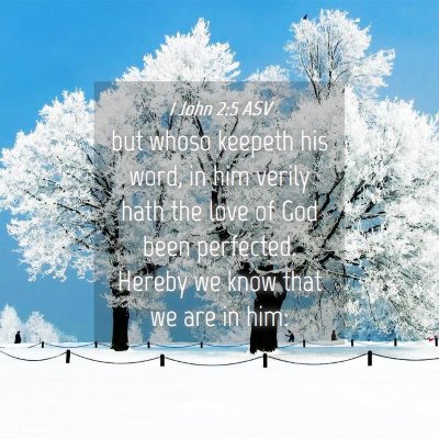Picture 04 - 1 John 2:5 ASV - but whoso keepeth his word, in him verily hath - Bible Verse Picture