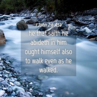 Picture 04 - 1 John 2:6 ASV - he that saith he abideth in him ought himself - Bible Verse Picture
