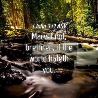 Picture 04 - 1 John 3:13 ASV - Marvel not, brethren, if the world hateth - Bible Verse Picture