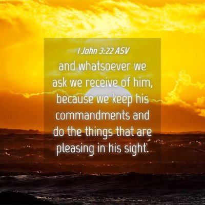 Picture 04 - 1 John 3:22 ASV - and whatsoever we ask we receive of him, because - Bible Verse Picture