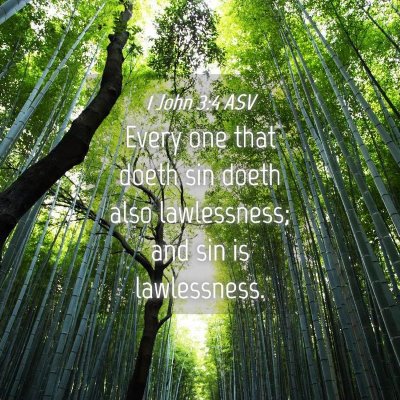 Picture 04 - 1 John 3:4 ASV - Every one that doeth sin doeth also lawlessness; - Bible Verse Picture