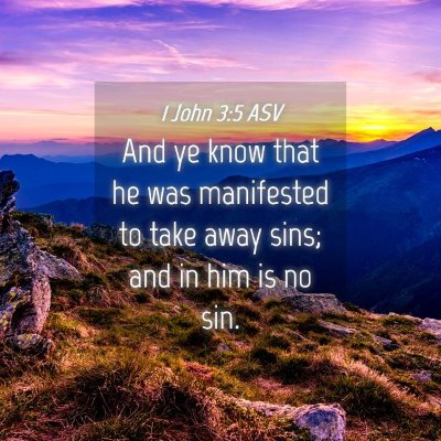 Picture 04 - 1 John 3:5 ASV - And ye know that he was manifested to take away - Bible Verse Picture