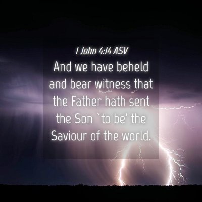 Picture 04 - 1 John 4:14 ASV - And we have beheld and bear witness that the - Bible Verse Picture
