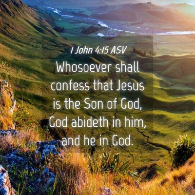 Picture 04 - 1 John 4:15 ASV - Whosoever shall confess that Jesus is the Son of - Bible Verse Picture