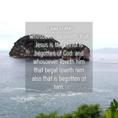 Picture 04 - 1 John 5:1 ASV - Whosoever believeth that Jesus is the Christ is - Bible Verse Picture