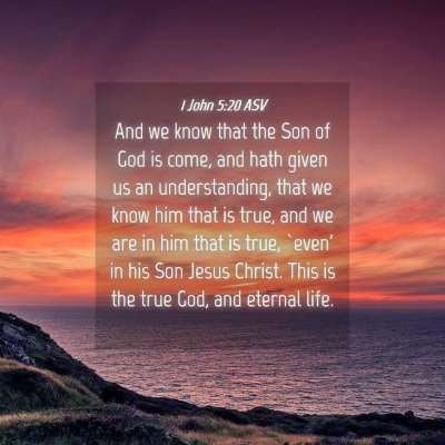Picture 04 - 1 John 5:20 ASV - And we know that the Son of God is come, and hath - Bible Verse Picture