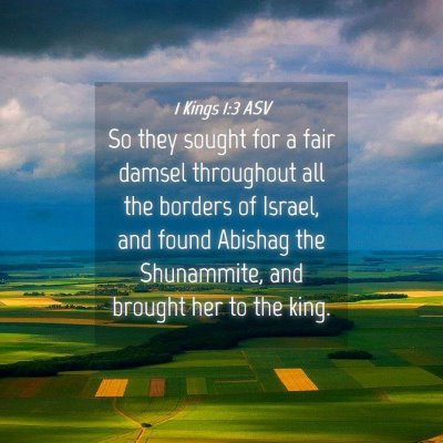 Picture 04 - 1 Kings 1:3 ASV - So they sought for a fair damsel throughout all - Bible Verse Picture
