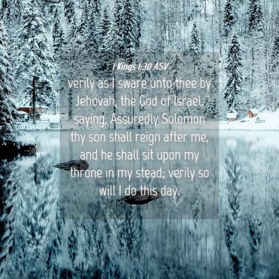 Picture 04 - 1 Kings 1:30 ASV - verily as I sware unto thee by Jehovah, the God - Bible Verse Picture