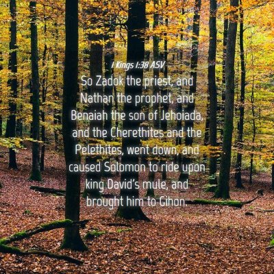 Picture 04 - 1 Kings 1:38 ASV - So Zadok the priest, and Nathan the prophet, and - Bible Verse Picture