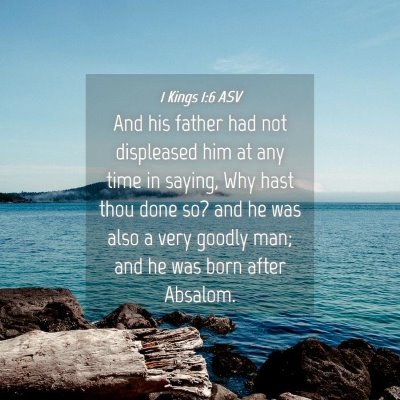 Picture 04 - 1 Kings 1:6 ASV - And his father had not displeased him at any time - Bible Verse Picture