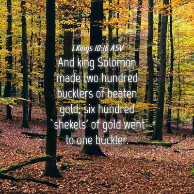 Picture 04 - 1 Kings 10:16 ASV - And king Solomon made two hundred bucklers of - Bible Verse Picture