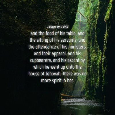 Picture 04 - 1 Kings 10:5 ASV - and the food of his table, and the sitting of his - Bible Verse Picture