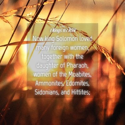 Picture 04 - 1 Kings 11:1 ASV - Now king Solomon loved many foreign women, - Bible Verse Picture