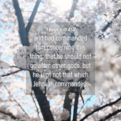 Picture 04 - 1 Kings 11:10 ASV - and had commanded him concerning this thing, that - Bible Verse Picture