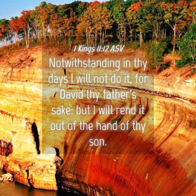 Picture 04 - 1 Kings 11:12 ASV - Notwithstanding in thy days I will not do it, for - Bible Verse Picture