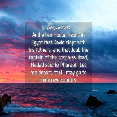 Picture 04 - 1 Kings 11:21 ASV - And when Hadad heard in Egypt that David slept - Bible Verse Picture