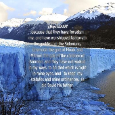 Picture 04 - 1 Kings 11:33 ASV - because that they have forsaken me, and have - Bible Verse Picture