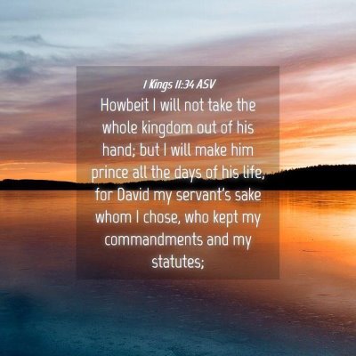 Picture 04 - 1 Kings 11:34 ASV - Howbeit I will not take the whole kingdom out of - Bible Verse Picture