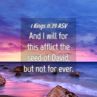 Picture 04 - 1 Kings 11:39 ASV - And I will for this afflict the seed of David, - Bible Verse Picture