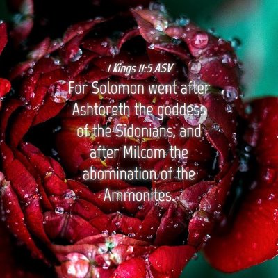Picture 04 - 1 Kings 11:5 ASV - For Solomon went after Ashtoreth the goddess of - Bible Verse Picture