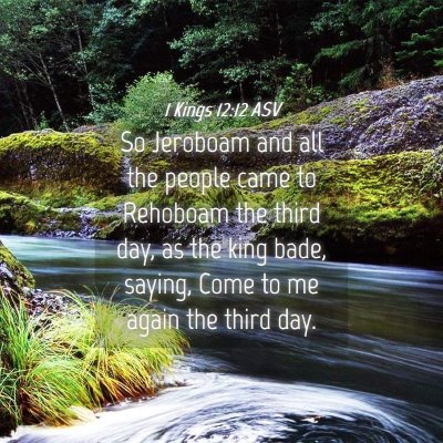 Picture 04 - 1 Kings 12:12 ASV - So Jeroboam and all the people came to Rehoboam - Bible Verse Picture