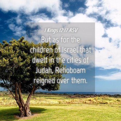 Picture 04 - 1 Kings 12:17 ASV - But as for the children of Israel that dwelt in - Bible Verse Picture